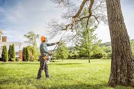 Best Pest Control for Lawns  in Cresson, TX