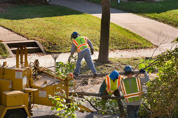 Best Commercial Tree Services  in Cresson, TX
